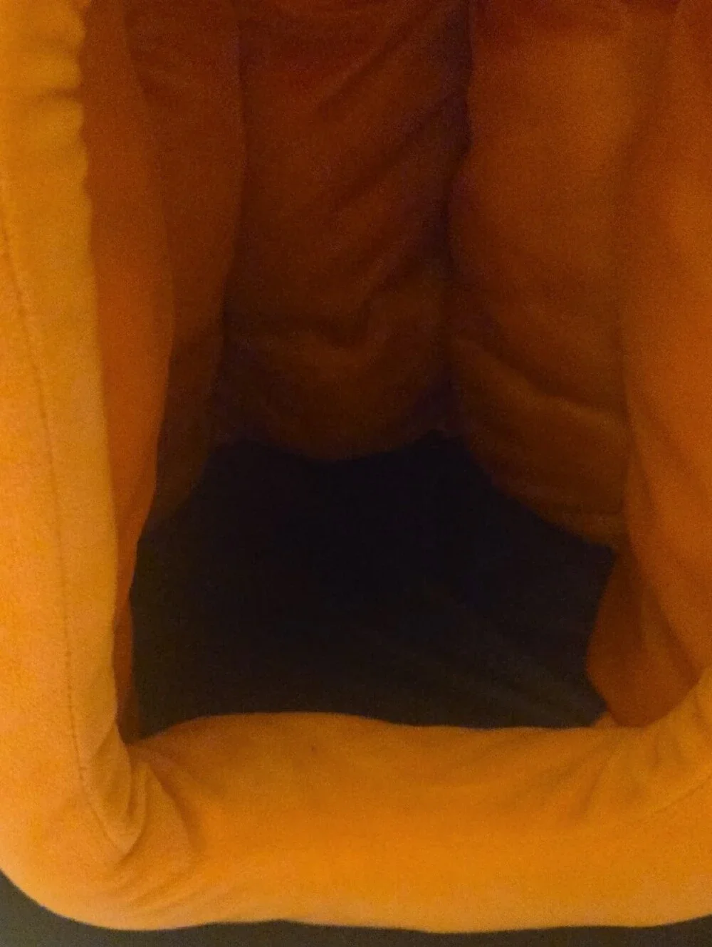 Plush Orange Pumpkin-Shaped Cat Bed With Removable Pillow.